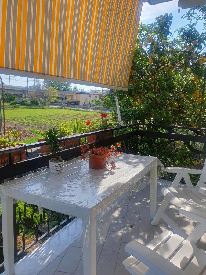 Ospitalita Il Noce Bed & Breakfast Brusciano Екстериор снимка
