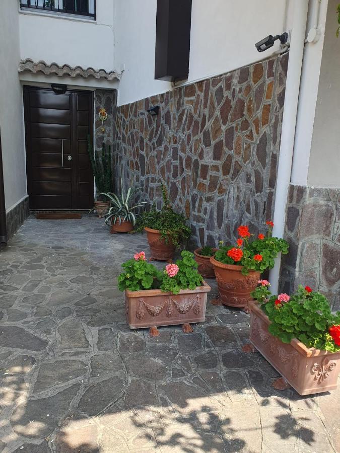 Ospitalita Il Noce Bed & Breakfast Brusciano Екстериор снимка