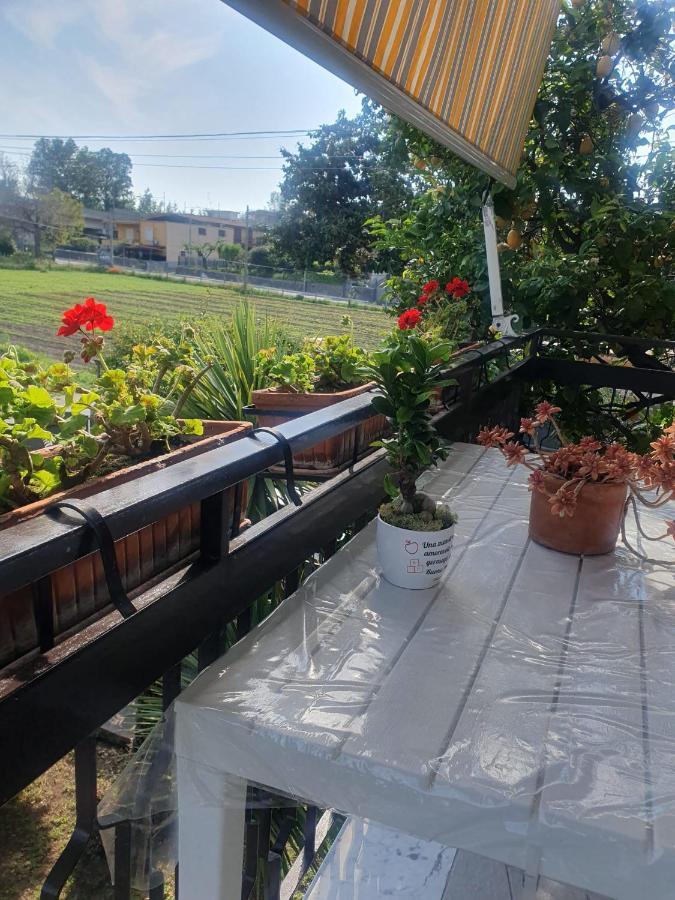 Ospitalita Il Noce Bed & Breakfast Brusciano Екстериор снимка